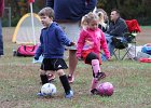 IMG 2751