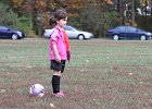 IMG 2755