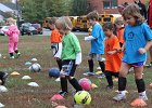 IMG 2761