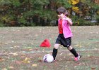 IMG 2768