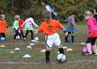 IMG 2774