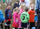 IMG 2781