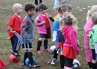 IMG 2784