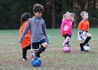 IMG 2796