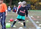 IMG 2799