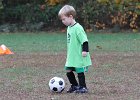 IMG 2810