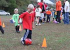IMG 2868