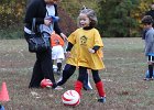 IMG 2872