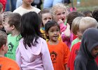 IMG 2884