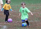 IMG 2896