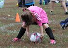 IMG 2912