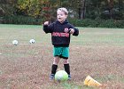 IMG 2918