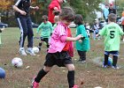 IMG 2926