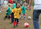 IMG 2931