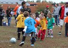 IMG 2933