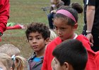 IMG 2958