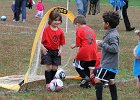 IMG 2973