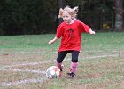 IMG 3016