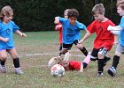 IMG 3020