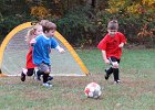 IMG 3024