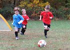 IMG 3025