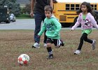 IMG 3029