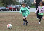 IMG 3031
