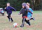 IMG 3068