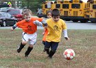 IMG 3074