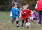 IMG 3129