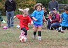 IMG 3146