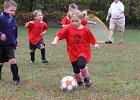 IMG 3166