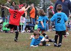 IMG 3211