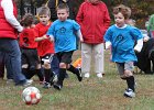 IMG 3220