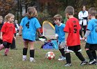 IMG 3235