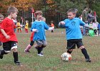 IMG 3239