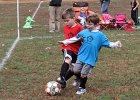 IMG 3245