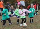 IMG 3258