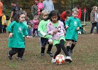 IMG 3260