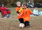 IMG 3272
