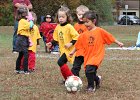 IMG 3274