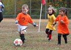 IMG 3286