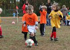 IMG 3293