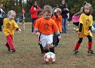 IMG 3295