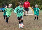 IMG 3306