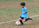 IMG 3351