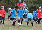 IMG 3366