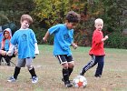 IMG 3368