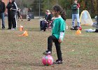 IMG 3486