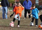 IMG 3489